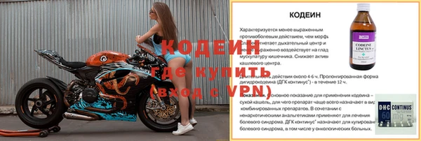 прущие грибы Арсеньев