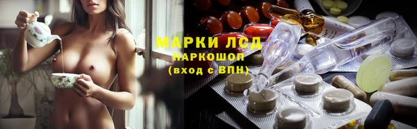 прущие грибы Арсеньев
