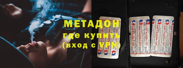 прущие грибы Арсеньев