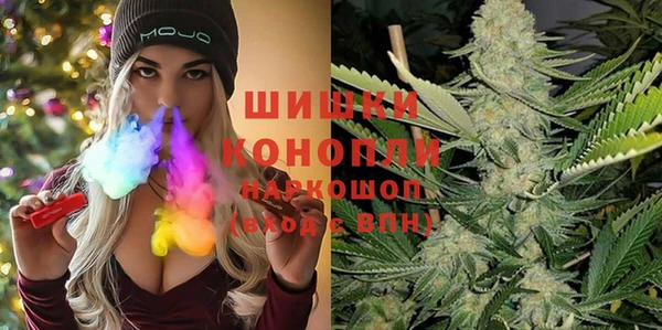 прущие грибы Арсеньев