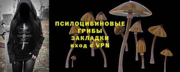 тгк Армянск
