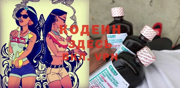 прущие грибы Арсеньев