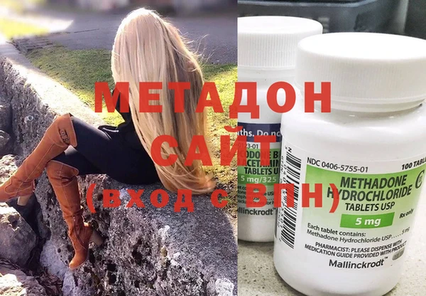 прущие грибы Арсеньев